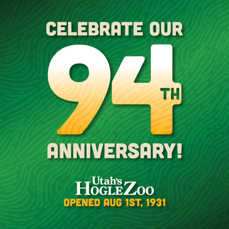 Utah's Hogle Zoo 94th Anniversary