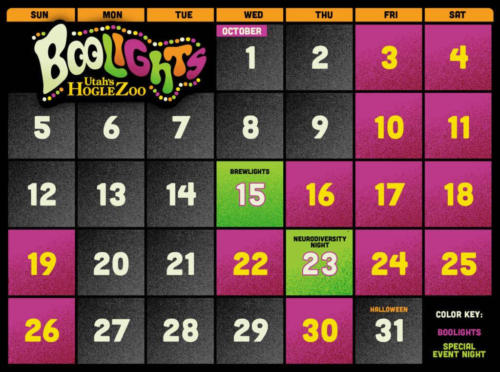 BooLights Calendar