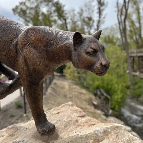 Wild Utah cougar statue, 2024