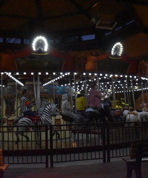 Carousel at night