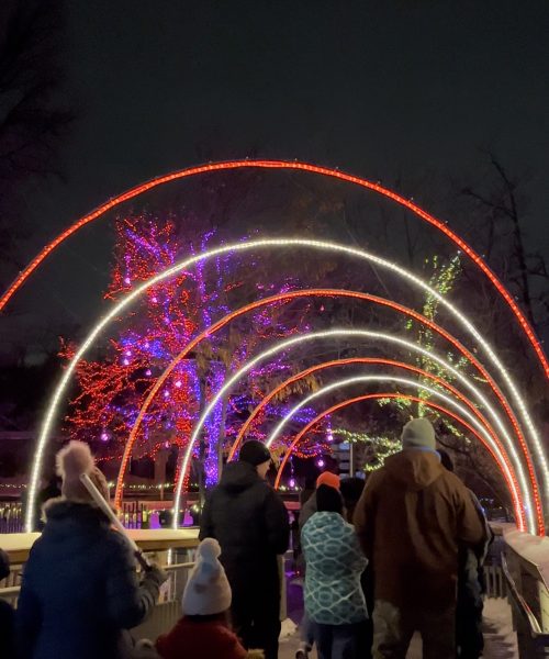 ZooLights light tunnel