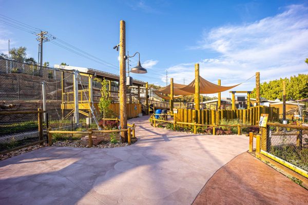 Wild Utah Cougar Habitat and Overlook - Utah's Hogle Zoo