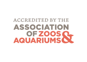 Accredited by the Association of Zoos & Aquariums