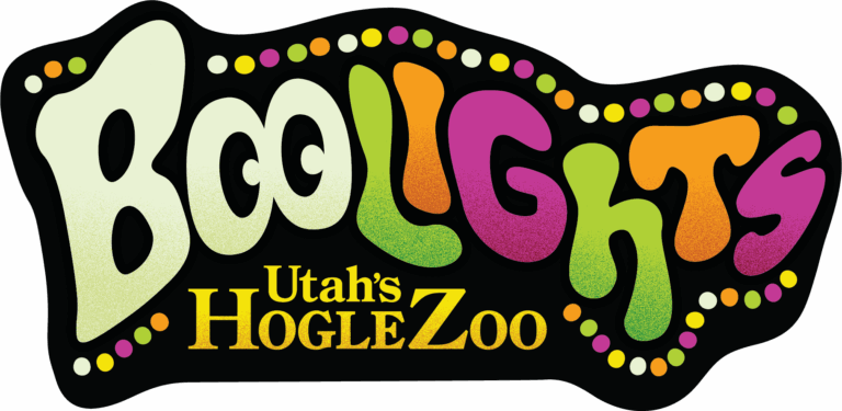 BooLights 2025 logo