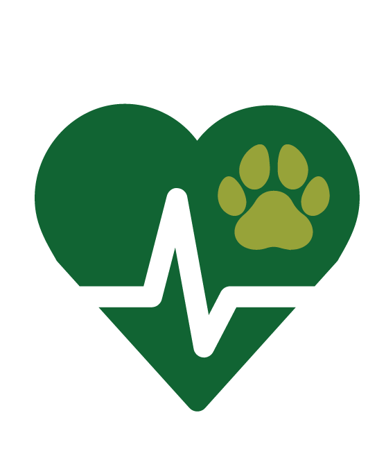 Wellbeing heart icon