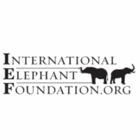 International Elephant Foundation